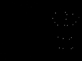 Carsten Höller «Film of Points»