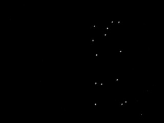 Carsten Höller «Film of Points»