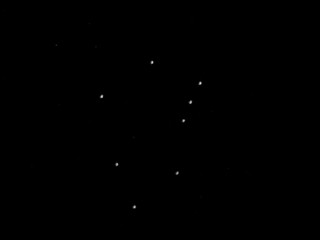Carsten Höller «Film of Points»