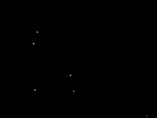 Carsten Höller «Film of Points»