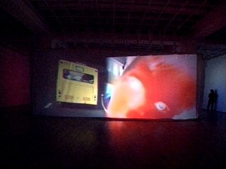 Pipilotti Rist »Remake of the Weekend«