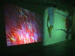 Pipilotti Rist »Remake of the Weekend«