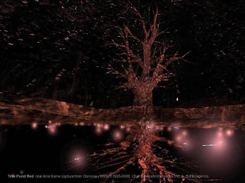 Charlotte Davies «Osmose» | Osmose, «Tree Pond Red», Real Time Frame Capture