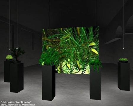 Sommerer/Mignonneau «The Interactive Plant Growing» | The Interactive Plant Growing (3D model)