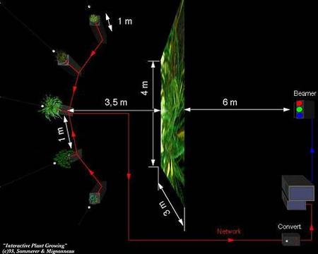 Sommerer/Mignonneau »The Interactive Plant Growing« | The Interactive Plant Growing (Installationsaufbau)