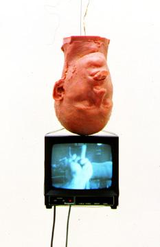 Bruce Nauman «Perfect Balance (Pink Andrew with plug hanging with T.V.)»