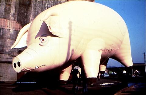 Jeffrey Shaw: Pig for Pink Floyd