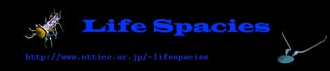 Sommerer/Mignonneau »Life Spacies«