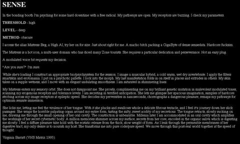 VNS Matrix &laquo;Dirty Work for Slimey Girls&raquo; | Sense - Virginia Barratt (VNS Matrix)