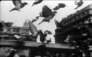Chris Marker &laquo;La Jet&eacute;e&raquo;