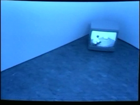 Bruce Nauman «Video Surveillance Piece»