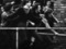 Mongrel &laquo;Natural Selection&raquo; | &laquo;Crowd&raquo;