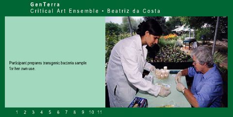 Critical Art Ensemble (CAE) &laquo;GenTerra&raquo;