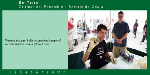 Critical Art Ensemble (CAE) &laquo;GenTerra&raquo;