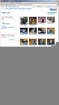 flickr «cameraphone canada car cat»