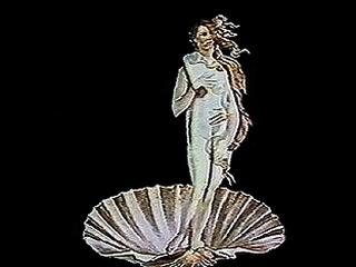 Ulrike Rosenbach »Reflexionen über die Geburt der Venus«