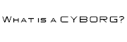 Cyborg Web Shop